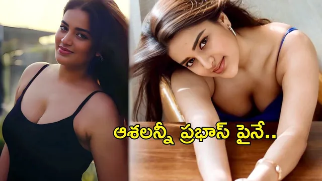 Nidhi Agarwal: హాట్ బ్యూటీ ఆశలన్నీ ప్రభాస్ పైనే.. రాజాసాబ్ కాపాడుతాడా..?