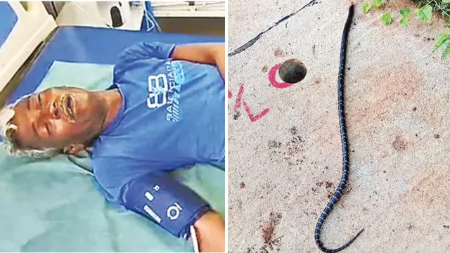 Snake Bite : మందెంత పనిచేసే నారాయణ...కాటేసిన పాము తలకొరికి..పక్కనే పెట్టుకుని నిద్ర... ఆ తర్వాత ఏం జరిగిందంటే?