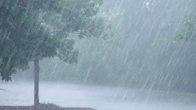 Heavy Rains: అలెర్ట్‌.. కాసేపట్లో భారీ వర్షం