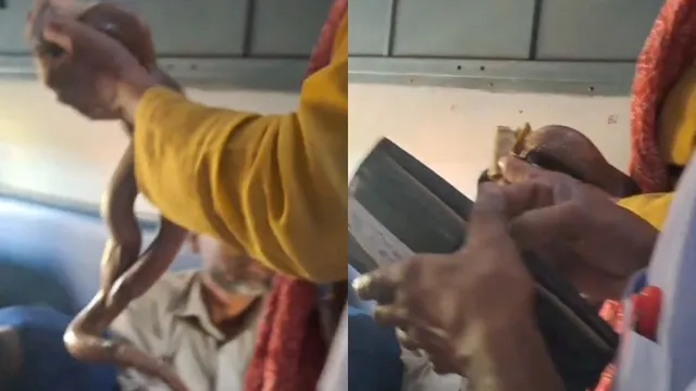 Watch Video: వామ్మో వీడెవడండి బాబు.. రైళ్లో పామును చూపించి భిక్షాటన