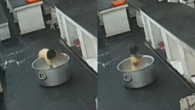 AP Crime: మనసును కలచివేసే ఘటన... అనంతపురంలో వేడి పాల గిన్నెలో పడి బాలిక మృతి