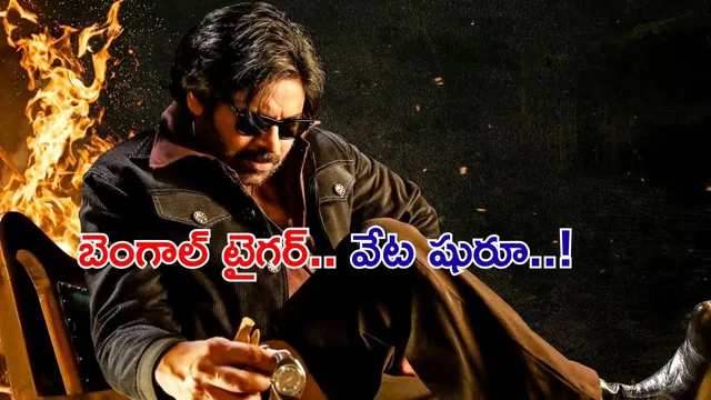 OG Day 2 Collections: నైజాం కింగ్.. 'OG' 2 డేస్ కలెక్షన్స్ ఎంతో తెలిస్తే షాకే..!