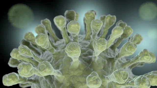 New Coronavirus Strain: వామ్మో.. అమెరికాలో కొత్త రకం కరోనా.. లక్షణాలు ఏంటో తెలుసా..?