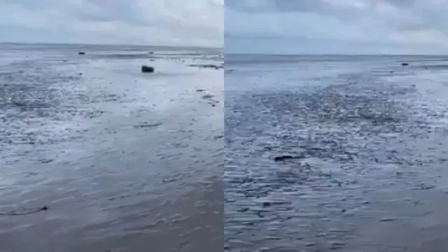 AP BREAKING: అంతర్వేది వద్ద అర కిలోమీటర్ వెనక్కి వెళ్లిన సముద్రం.. భారీ సునామీకి సంకేతామా?