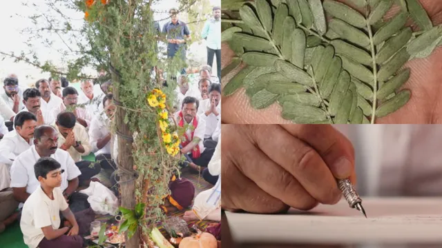 Jammi Chettu: దసరా నాడు అదృష్టాన్ని తెచ్చే జమ్మి  శ్లోకం..  పూజ సమయంలో ఇది రాయడం అస్సలు మర్చిపోవద్దు!