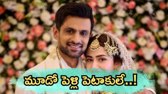 Shoaib Malik Sana Javed Divorce: సానియా మాజీ భర్త మాలిక్ మూడో భార్యకు విడాకులు