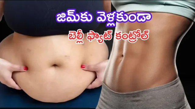 Belly Fat Control Tips: జిమ్‌‌కు వెళ్లకుండా బెల్లీ ఫ్యాట్‌ కంట్రోల్.. ఇలా చేస్తే చాలు- డాక్టర్ షాకింగ్ ఫ్యాక్ట్స్