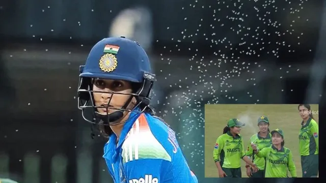 IND W vs PAK W: ఇండియా-పాకిస్తాన్ మ్యాచ్‌‌లో దోమల బెడద.. ఆగిన మ్యాచ్