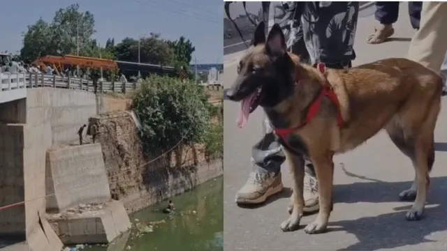 Big breaking:   నెల్లూరులో జంట హత్యలు.. రంగంలోకి పోలీసు జాగిలాలు