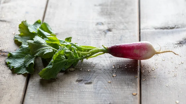 Radish Leaves: ముల్లంగి ఆకులు పడేస్తున్నారా..? అయితే ఈ బెనిఫిట్స్ మీరు తెలుసుకోవాల్సిందే!!