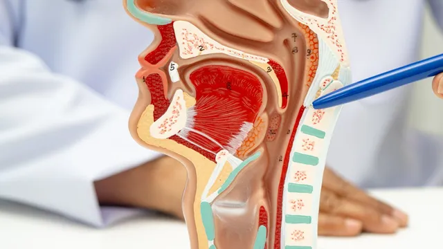 Larynx: గొంతు జాగ్రత్త.. లేదంటే స్వరపేటిక క్యాన్సర్ రావొచ్చు!