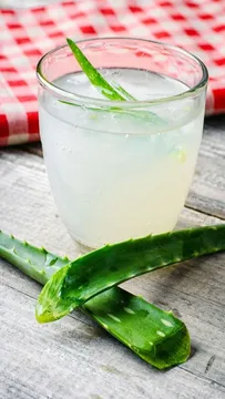 చలికాలం కలబంద జ్యూస్ అతిగా తాగుతున్నారా.?