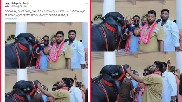 HYD Sadar: దున్నపోతుకి 31 వేల విలువ చేసే మద్యం..అది ఎన్ని ఏండ్లతో తెలుసా?