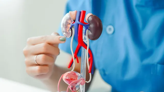 Kidney: తెలంగాణలో డేంజర్ బెల్స్.. ప్రతీ 100 మందిలో ఏడుగురికి కిడ్నీలు ఖరాబ్.. షాకింగ్ రిపోర్ట్!