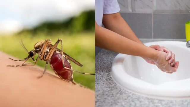 Health Tips: దోమను చంపిన తర్వాత చేతులు కడగకపోతే డేంజర్.. ఏమవుతుందో తెలుసా?