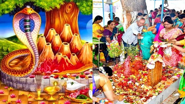 Nagula Chavithi: పుట్టలో పాలు పోసేటప్పుడు ఈ మంత్రం చదివితే మీకు తిరుగుండదు..