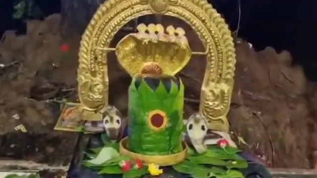 Nagula Chavithi 2025:  నాగుల చవితి రోజు అద్భుత దృశ్యం .. శివలింగంపై పడగవిప్పిన పాము!