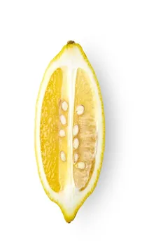 చేదుగా ఉంటాయని ఈ గింజలను పారేస్తున్నారా..?