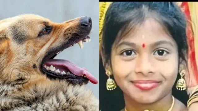 TG Crime:  తెలంగాణలో విషాదం. కుక్క కాటు గురించి దాచిపెట్టిన బాలిక.. నెల రోజుల తర్వాత రేబిస్‌తో మృతి