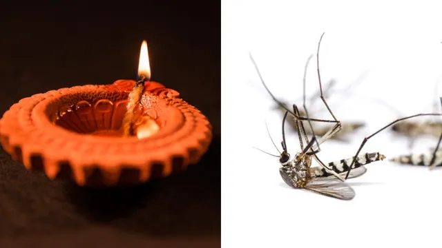 Home Tips: ఇంట్లోకి దోమలు రాకుండా అడ్డుకునే అద్భుతమైన ఇంటి చిట్కా.. టీ పొడితో దీపం వెలిగించండి!!