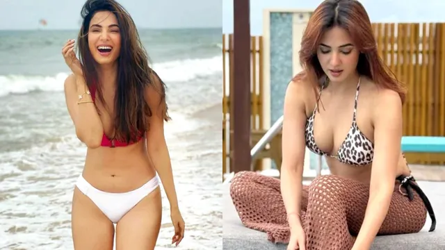 Sonal Chauhan: బాలయ్య బ్యూటీకి బంపరాఫర్.. బిగ్ స్క్రీన్ పై 'మీర్జాపూర్' సిరీస్..