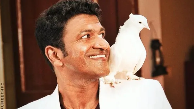 Puneeth Rajkumar: పునీత్ రాజ్‌కుమార్ 4వ వర్థంతి.. "అప్పు"ను ప్రేమగా గుర్తు చేసుకున్న భార్య అశ్విని, ఫ్యాన్స్..