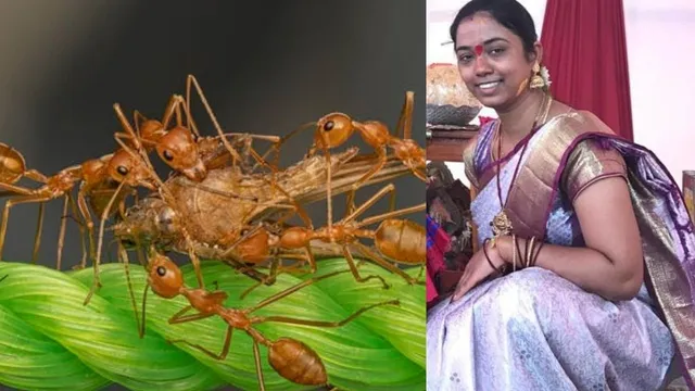 Woman Suicide: ఎంతపని చేశావ్ తల్లి.. చీమలకు భయపడి ఉరేసుకున్న వివాహిత -తెలంగాణలో విషాదం