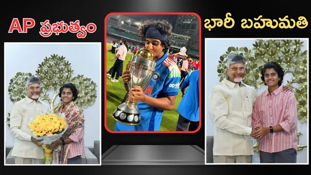 Cricketer Sri Charani: తెలుగు బిడ్డ.. క్రికెటర్ శ్రీ చరణికి CM చంద్రబాబు బంపరాఫర్.. రూ.2.5 కోట్ల నగదు, గ్రూప్-1 జాబ్..