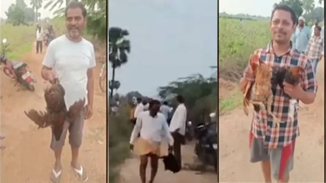 Telangana: ఆ ఊళ్లో 2 వేల నాటుకోళ్లు వదిలి వెళ్లిన అగంతకులు.. పండుగ చేసుకున్న ప్రజలు