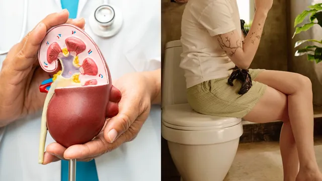 Kidney Health: మూత్రంలో ఈ మార్పులు కనిపిస్తే.. మూత్రపిండాలు ఫసక్.. షాకింగ్ విషయాలు!