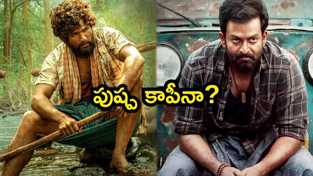 Prithviraj Sukumaran: నేను 'పుష్ప'ను కాపీ కొట్టలేదు.. పోలికలు పెట్టకండి: పృథ్వీరాజ్ సుకుమారన్