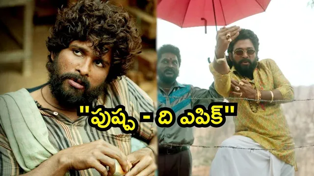 Pushpa The Epic: "పుష్ప - ది ఎపిక్" రీ రిలీజ్ లేనట్టేనా..? బన్నీ - సుకుమార్ షాకింగ్ డెసిషన్..!