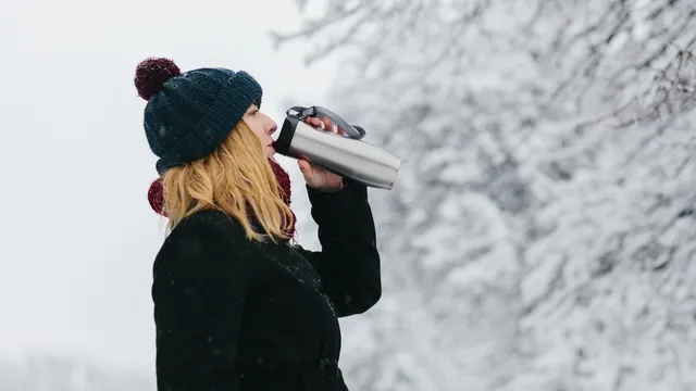 Health Tips: శీతాకాలంలో ఎన్ని నీళ్లు తాగాలో తెలుసా..? ఇలా చేయకపోతే మూత్రపిండాలు, మెదడుకు డేంజర్!