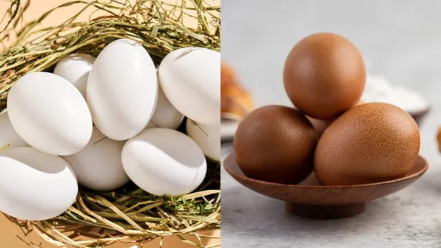 Egg Color: ఏ రంగు గుడ్డులో బలం ఎక్కువ..?  తెలుపా లేక గోధుమ!!