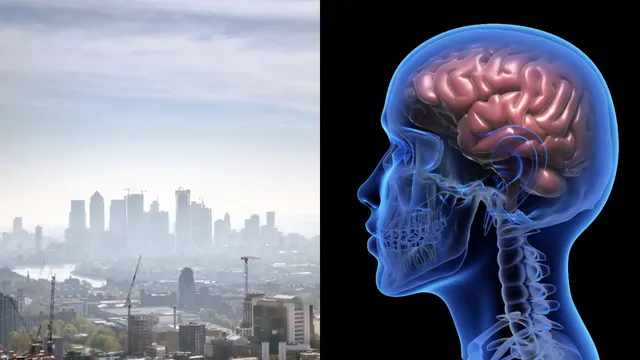 Air Pollution: ఏకాగ్రత..నిద్రకు శాపంగా వాయు కాలుష్యం..నిపుణులు ఏం అంటున్నారంటే..?