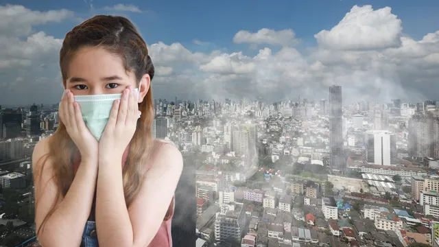 Air Pollution: దక్షిణాసియాపై కాలుష్య నీడలు.. పొంచి ఉన్న ప్రమాదం