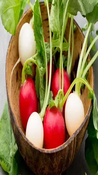 చలికాలంలో క్యారట్, ముల్లంగి ఇష్టంగా తింటున్నారా..?