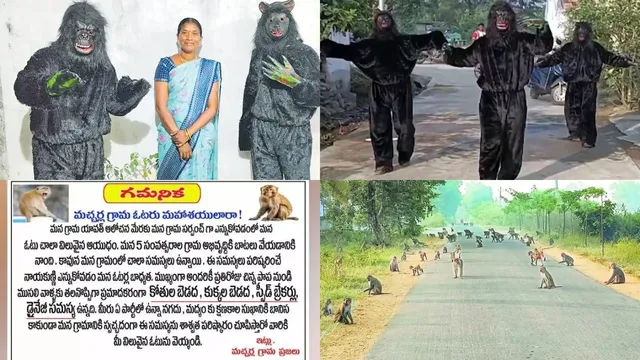 Panchayat Elections : సర్పంచ్‌ ఎన్నికల్లో కోతుల పంచాయతీ...కోతుల పట్టుకో..ఓటు తీసుకో