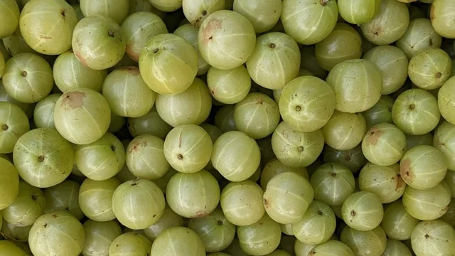 Amla Seeds: ఉసిరి గింజలను ఇక పడేయకండి.. తాజా రీసెర్చ్‌లో ఊహించని విషయాలు!!