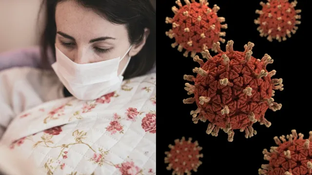 Viral infection: పన్నెండు దశలు.. ఇన్‌ఫెక్షన్ల బారి నుంచి కాపాడే రక్షణ కవచాలు