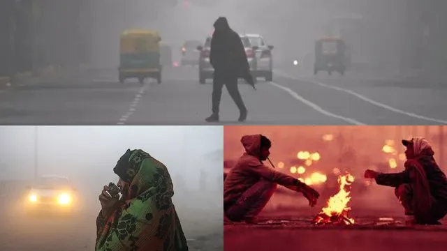 Cold Wave Update: మంచు దుప్పటి కప్పుకున్ననగరం.... కనిష్ఠ స్థాయికి  ఉష్ణోగ్రతలు