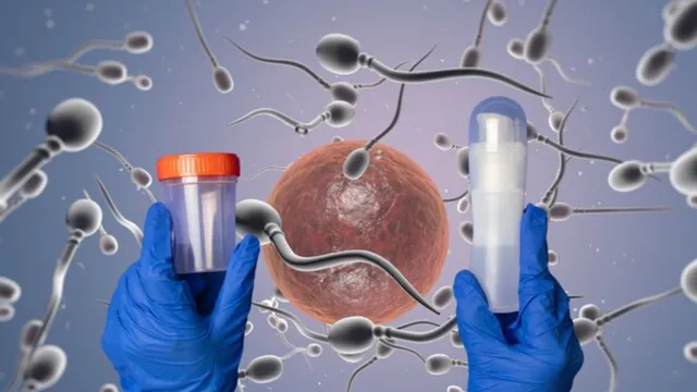 Sperm Donation: విచ్చలవిడిగా వీర్యదానం చేస్తానంటే కుదరదు.. ఈ రూల్స్ పాటించాల్సిందే!