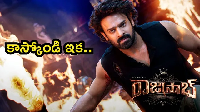 Raja Saab Premieres: వామ్మో.. 'రాజాసాబ్' ప్రీమియర్ షో టికెట్ ధర ఎంతంటే?