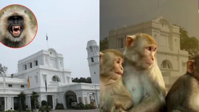 Delhi Assembly: కోతులకు భయపడుతున్న MLAలు.. అసెంబ్లీలో మిమిక్రీ ఆర్టిస్టుల నియామకం