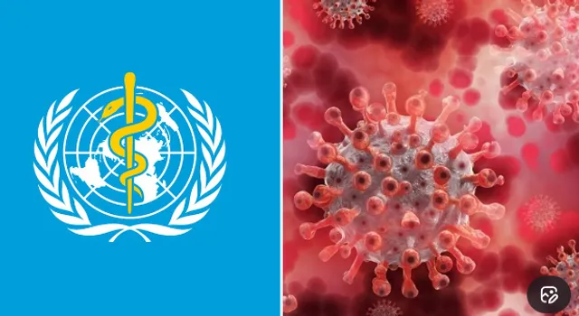 Subclade K: అమెరికా, ఐరోపా దేశాల ప్రజల్ని వణికిస్తున్న డేంజరస్ వైరస్