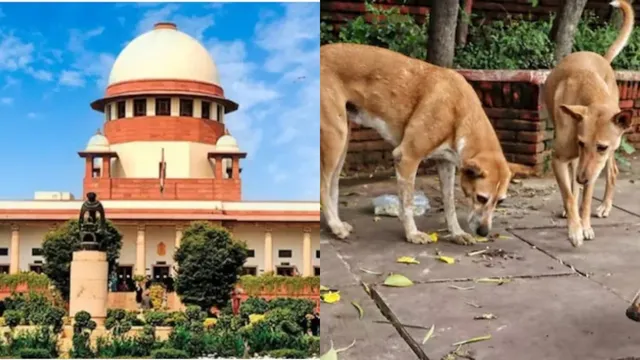 Supreme Court: వీధికుక్కల వివాదం.. సుప్రీంకోర్టు సంచలన వ్యాఖ్యలు