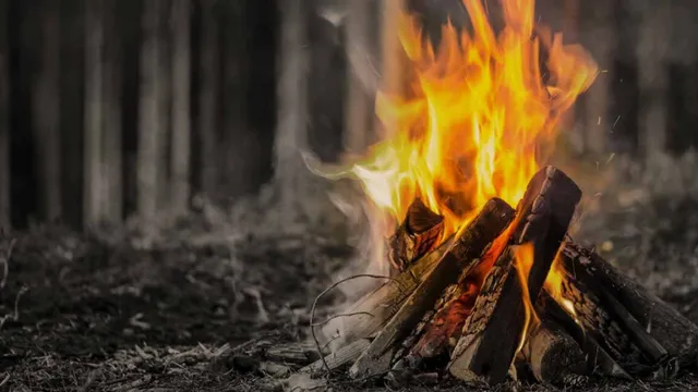 Bhogi Mantalu : భోగి మంటలు ఎందుకు వేస్తారు? ఆ మంటల్లో ఏం వేయాలి? ఏం వేయకూడదో తెలుసా?