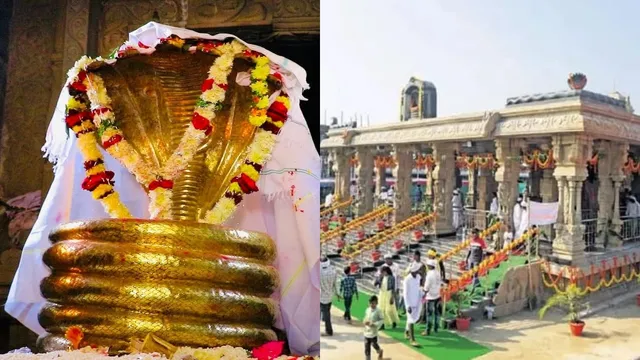 Kesslapur Nagoba Jatara : నేటి నుంచి మరో అతిపెద్ద గిరిజన జాతర..ఎక్కడో తెలుసా?