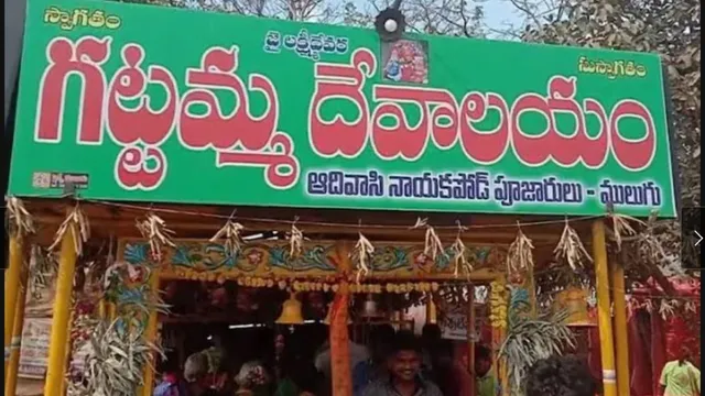 Medaram Jatara 2026: గట్టమ్మ ఆలయం.. గేట్ వే ఆఫ్ మేడారం ఎందుకో తెలుసా?