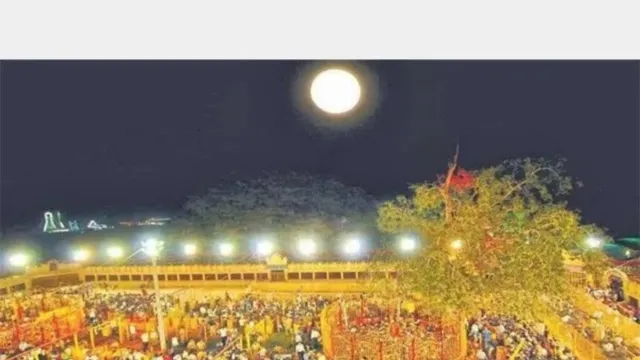 Medaram Jathara: మేడారంలో అమ్మవార్లకు గుడి ఎందుకు కట్టలేదో తెలుసా? కారణం ఇదే!